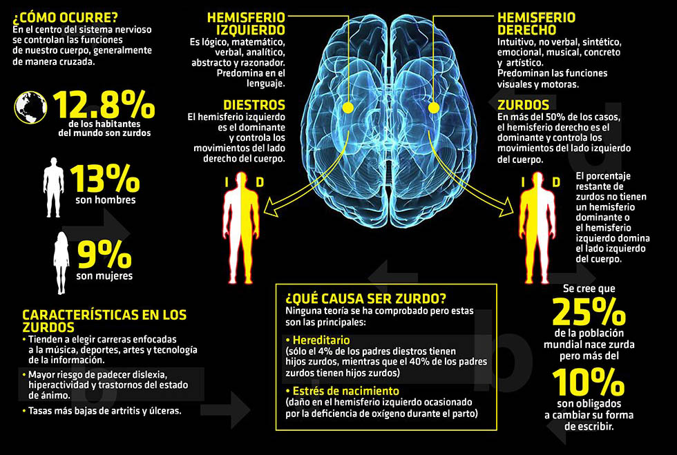 Hemisferio cerebral en los zurdos